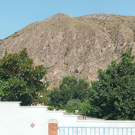 Recovery Mountain Homestay อาลิกันเต ภายนอก รูปภาพ